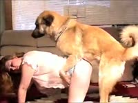 Brave housewife assumes doggystyle position for zoo sex with a hung K9 to please her hubby